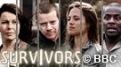 Survivors (II)