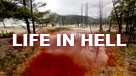 Life in Hell