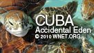 Cuba Accidental Eden