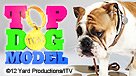 Top Dog Model