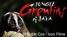 Jungle Gremlins of Java