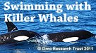 Swimming with Killer Whales
