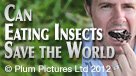 Can Eating Insects Save the World?