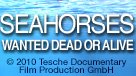 Seahorses Wanted Dead or Alive