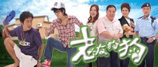 老友狗狗