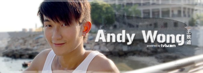 王致迪