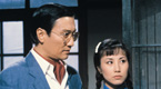 1982《萬水千山總是情》-<br />阮庭深、莊夢蝶-<br />(謝賢、汪明荃)
