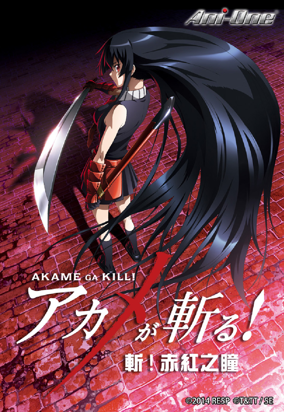 Akame ga KILL! Vol. 10 (English Edition) - eBooks em Inglês na