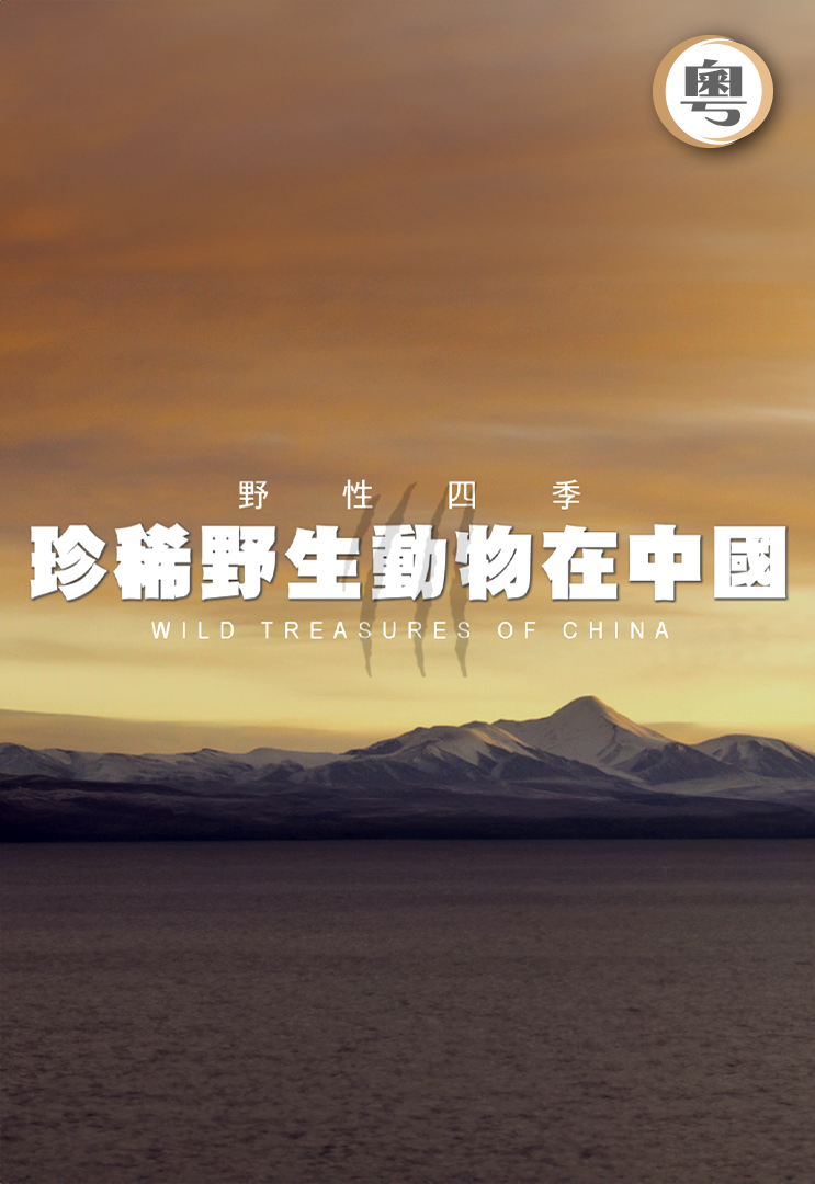 野性四季：珍稀野生動物在中國- myTV SUPER線上看