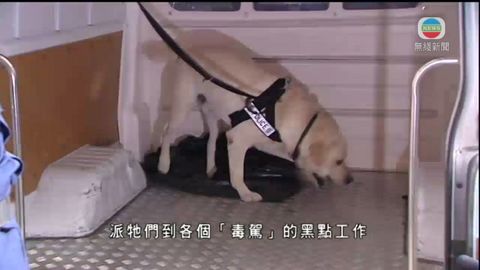 警方加入警犬在路障協助搜毒
