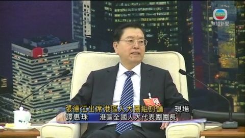 張德江列席港區人大團組討論