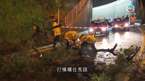 八號風球持續12小時 未來兩三天有驟雨 八號風球持續12小時 未來兩三天有驟雨