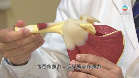 醫療:肩膊「甩骹」 醫療:肩膊「甩骹」