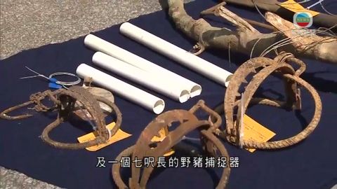 愛護動物協會發現非法捕獸器
