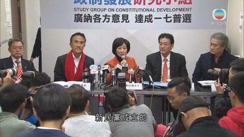 新民黨成立研究小組收集政改意見