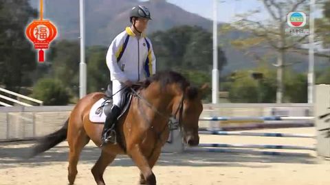 賽馬退役後轉型安享精彩「馬年」 賽馬退役後轉型安享精彩「馬年」