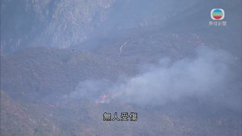 八仙嶺山火仍未救熄