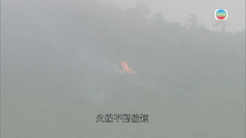 八仙嶺山火大致救熄