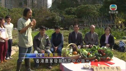農民學者籲制訂復興本港農業政策 農民學者籲制訂復興本港農業政策