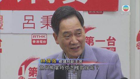 新界鄉議局擬組黨 林偉強短期落實細則