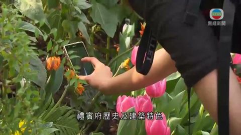 禮賓府今天開放予公眾參觀