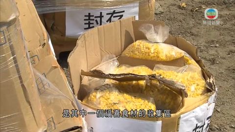 麥當勞銷毀一批內地福喜食品