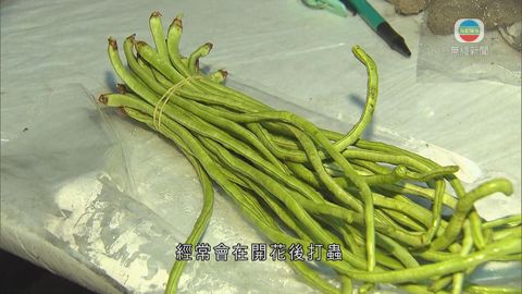 豆角等蔬菜屬高危 須驗最高殘餘農藥水平