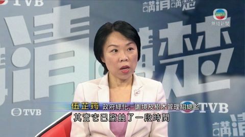 伍芷筠稱塌樹腐蝕嚴重  大雨加速倒塌
