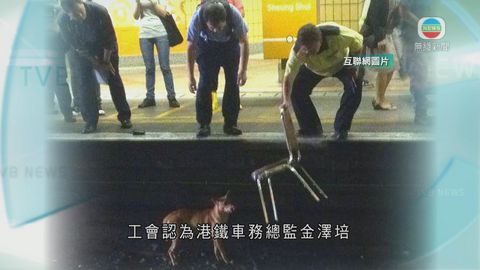 疑輾斃唐狗 鐵路工會批處理手法構壓力