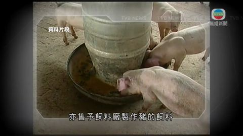 图片_b3cf40fb