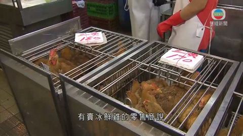 批發價預料較本地雞便宜三分一