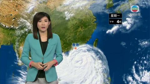 [風暴消息]海鷗漸近廣東  組織開始鬆散