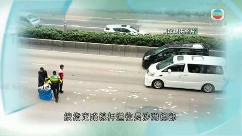 图片_88f3d265