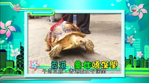 图片_b4d813db