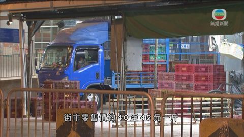 長沙灣家禽批發市場重開  雞價或稍下調