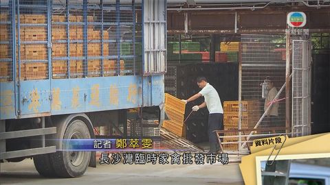 臨時逾四十年  長沙灣家禽市場搬遷無期