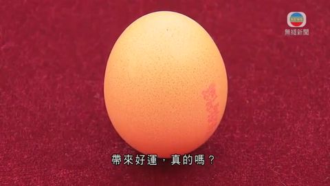 廿四節氣:春分 廿四節氣:春分