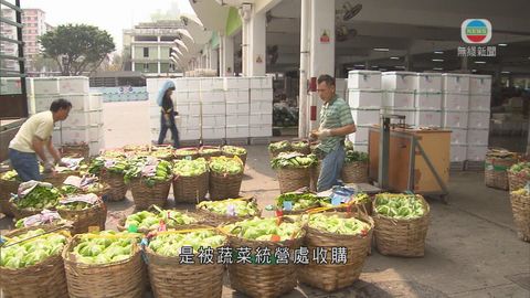 新聞追蹤：蔬統處收有機菜處於雙輸局面