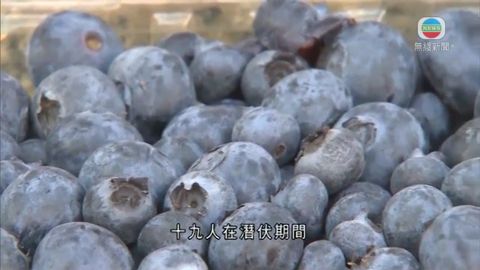 30%甲肝患者曾食藍莓 醫生：未洗淨或感染