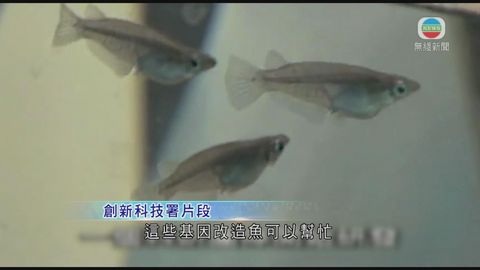 图片_52ea5ad9