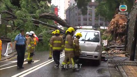 黃雨下薄扶林水浸  般咸道塌古樹傷兩人