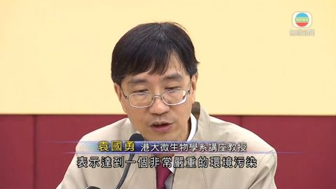 調查毛黴菌事件 61%深灣樣本含少孢根霉菌