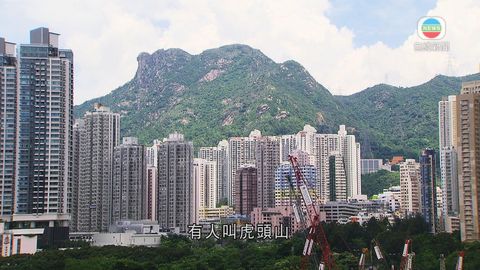 探古尋源:樂富稱老虎岩 名字來源眾說紛紜 探古尋源:樂富稱老虎岩 名字來源眾說紛紜