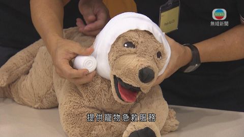 聖約翰推寵物急救課  助主人了解貓狗習性