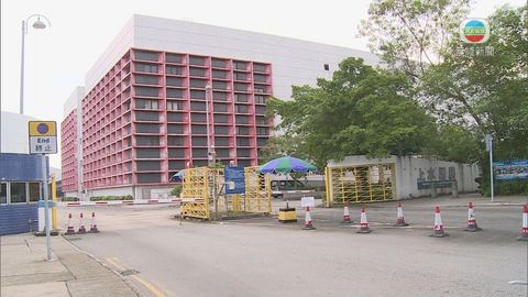 一批本地豬疑驗出禁用獸藥 已全數隔離