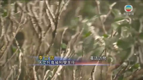 不少市民入夜後大帽山看結霜 造成交通阻塞 不少市民入夜後大帽山看結霜 造成交通阻塞