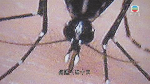 图片_7cbc13e3