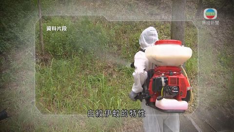 寨卡病毒列須呈報傳染病 食環署加強滅蚊 寨卡病毒列須呈報傳染病 食環署加強滅蚊