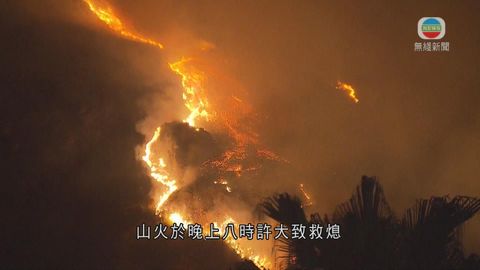 屯門菠蘿山發生山火 晚上救熄無人受傷