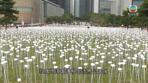 中環海濱玫瑰燈移至添馬 另一角度欣賞燈海 中環海濱玫瑰燈移至添馬 另一角度欣賞燈海